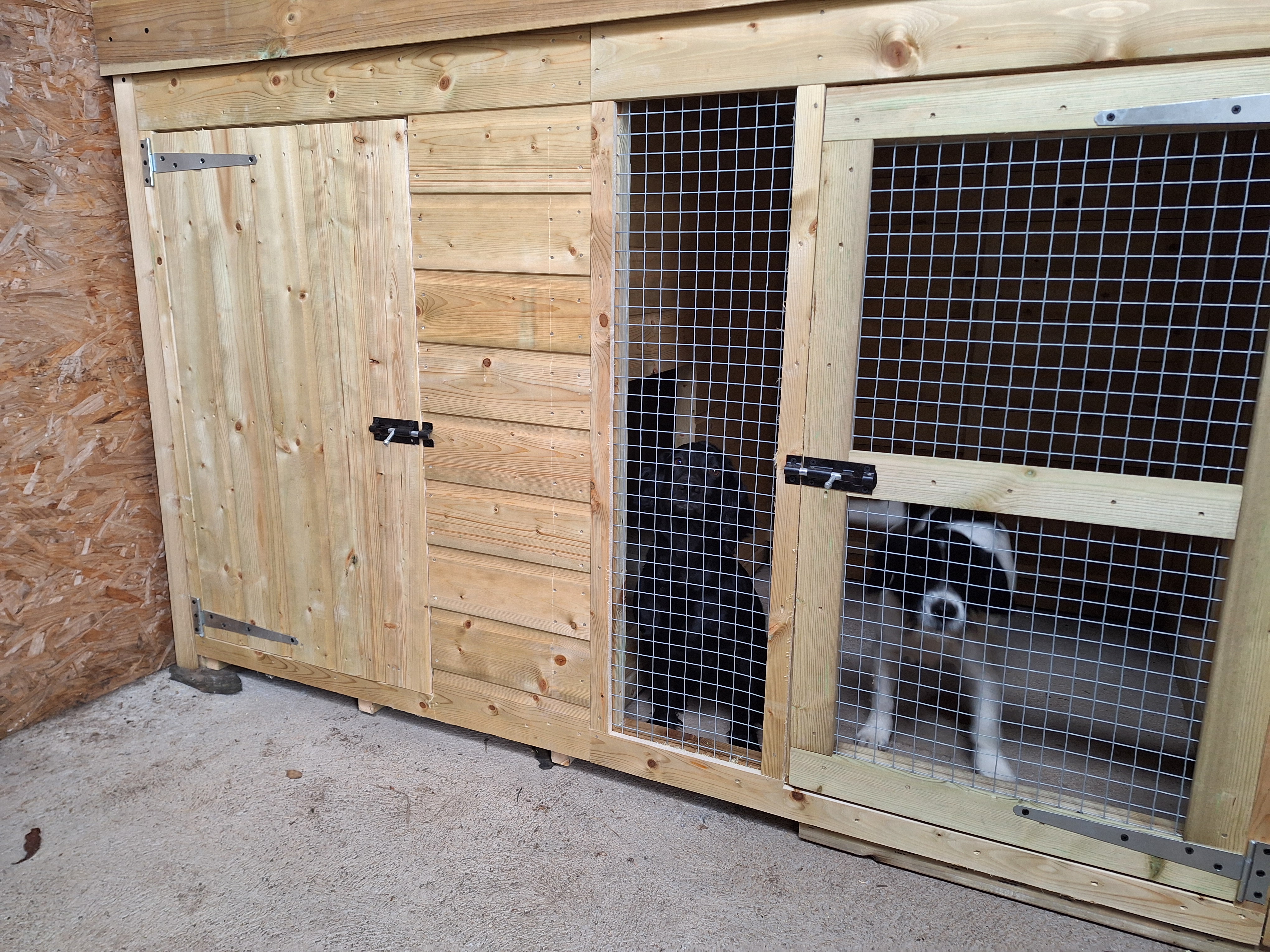 Kennel for sole use during your stay. located in the boot room of the drive. Can be locked if leaving dogs unatteneded.